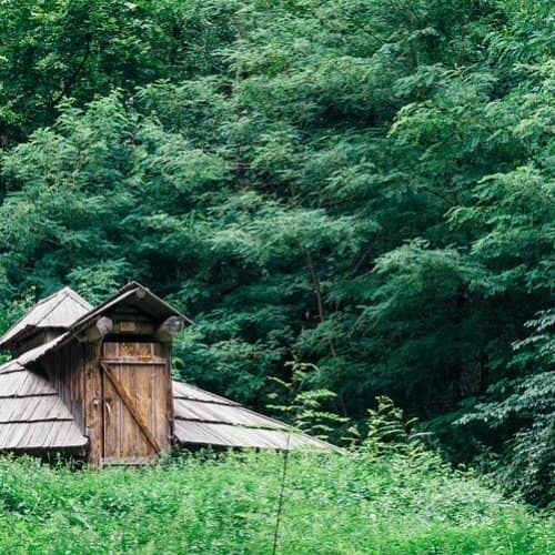 Викторина по рассказу Бунина «Кукушка»