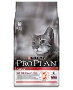 10ProPlan1-528x650