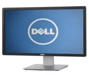 DELL P2415Q