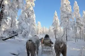 Оймякон – самое холодное место поселения на планете